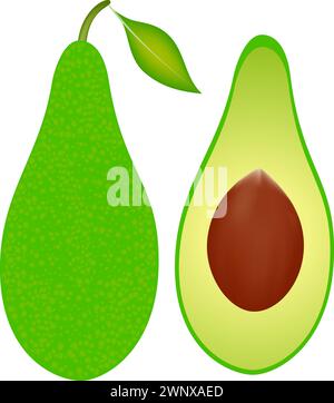 Ganze Avocado mit Blatt und Scheibe. Stock Vektor