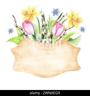 Grunge beige Etikett mit Aquarell Frühlingstulpen, Narzisse, Weidenzweige für Frühling, Frauentag, ostern, 8 märz Karten handgezeichnet auf weiß b Stockfoto