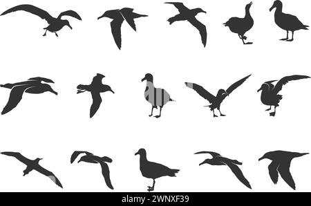 Fliegende Albatross Silhouette, Albatross Silhouetten, Albatross Vogel Silhouette, Albatross Vogel Vektor Illustration Stock Vektor