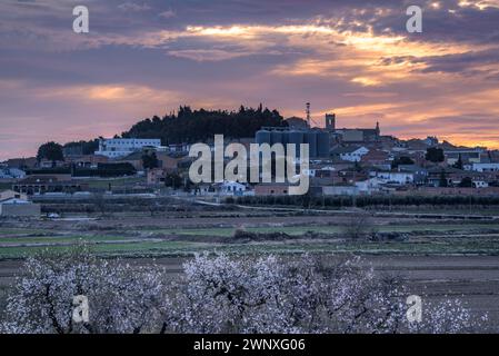 Roter Himmel über der Stadt Arbeca im Frühling mit blühenden Mandelbäumen (Les Garrigues, Lleida, Katalonien, Spanien) ESP: Cielo rojizo sobre Arbeca, Lérida Stockfoto