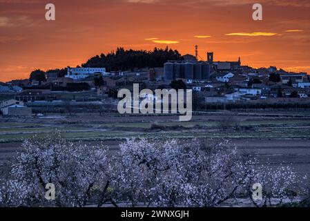 Roter Himmel über der Stadt Arbeca im Frühling mit blühenden Mandelbäumen (Les Garrigues, Lleida, Katalonien, Spanien) ESP: Cielo rojizo sobre Arbeca, Lérida Stockfoto