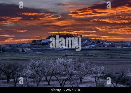 Roter Himmel über der Stadt Arbeca im Frühling mit blühenden Mandelbäumen (Les Garrigues, Lleida, Katalonien, Spanien) ESP: Cielo rojizo sobre Arbeca, Lérida Stockfoto