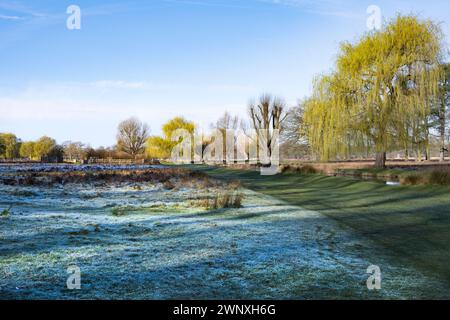 Frost überlebt in den Schatten an einem frühen Märzmorgen bei niedriger Sonne Stockfoto