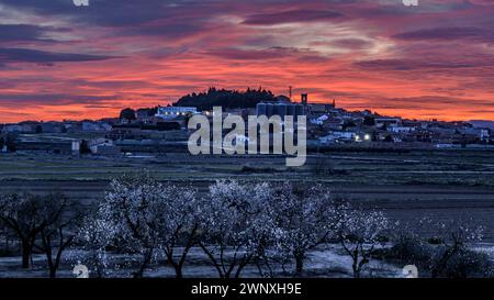 Roter Himmel über der Stadt Arbeca im Frühling mit blühenden Mandelbäumen (Les Garrigues, Lleida, Katalonien, Spanien) ESP: Cielo rojizo sobre Arbeca, Lérida Stockfoto