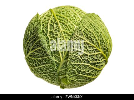 Ein frischer wirsingkohl isoliert auf weißem Hintergrund mit Beschneidungspfad. Ganzer Kopf von Bio-wirsing, grünem Gemüse, selektiver Fokus. Stockfoto
