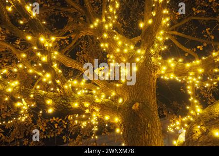 Goldene gelbe Girlanden hängen an der Eiche. Stamm und Krone mit trockenen Eichenblättern. Blätter wiegen im Wind. Weihnachten und Neujahrsdekoration Stockfoto