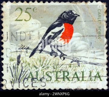 AUSTRALIEN - CA. 1966: Eine in Australien gedruckte Briefmarke zeigt einen rotkehlchen (Petroica boodang) Vogel, ca. 1966. Stockfoto