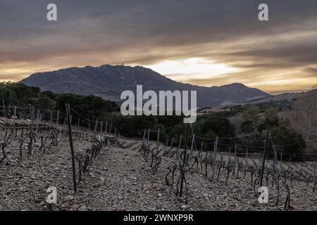 Site de Paulilles - Coucher de soleil sur la Tour Madeloc et les vignobles Stockfoto