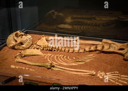 Historische Elemente, die im Stadtmuseum von Llívia (Cerdanya, Girona, Katalonien, Spanien, Pyrenäen) ausgestellt sind, ESP: Elementos Históricos en un museo Stockfoto