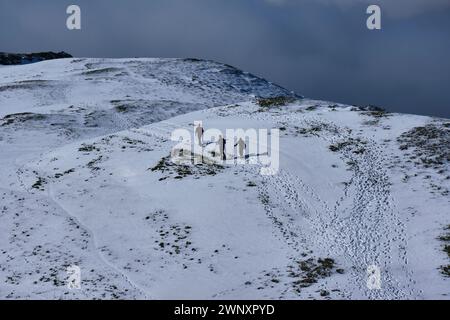 Wanderer klettern auf einem verschneiten Caer Caradoc, Church Stretton, Shropshire Stockfoto