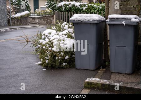 Ein verlassener Weihnachtsbaum auf der Straße neben dem Mülltonnen nach den Feiertagen. Ökologie und Abfallkonzept. Stockfoto