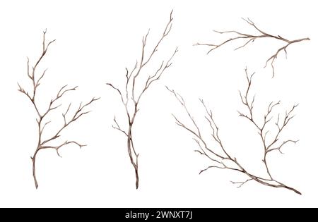 Aquarellillustrationssatz des Fallbaums ohne Blätter. Brauner, trockener, gerader Zweig. Isoliert auf weißem Hintergrund. Für rustikales Druckdesign oder Stockfoto
