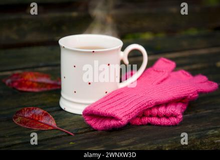 Eine Tasse Tee mit gestrickten Handschuhen auf der Bank draußen und Herbstlaub Stockfoto
