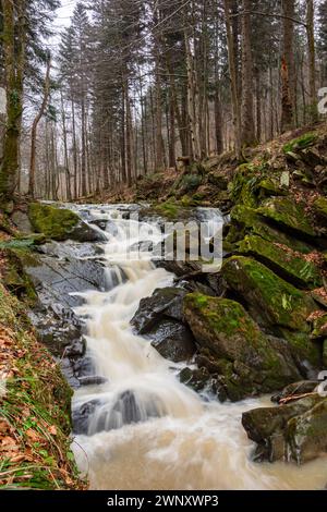 Szepit-Wasserfall am Hylaty-Fluss. Bieszczady Mountains. Ostkarpaten, Polen. Stockfoto