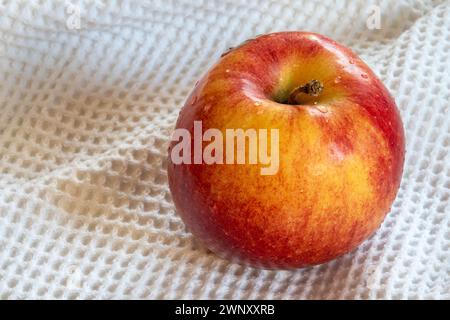 Neid reifer Apfel Stockfoto