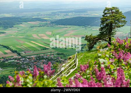 Blick von der Spitze der Hohen Wand, Österreich, einem Bergrücken, ein beliebtes Reiseziel für Touristen, unten in der Ferne können Sie die Dörfer sehen Stockfoto