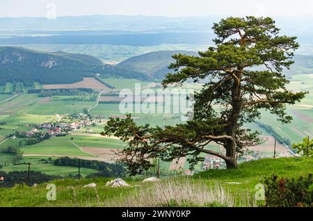 Blick von der Spitze der Hohen Wand, Österreich, einem Bergrücken, ein beliebtes Reiseziel für Touristen, unten in der Ferne können Sie die Dörfer sehen Stockfoto