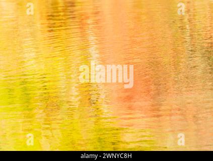 Abstrakte Wasserreflexion von Herbstfarben, farbenfrohe saisonale Landschaft, Hintergrund, Textur, Überlagerung. Stockfoto
