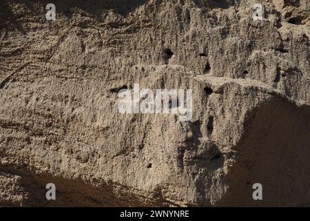 Sandstein ist ein fragmentarisches Sedimentgestein, ein homogenes oder geschichtetes Aggregat von fragmentarischen Körnern und Sandkörnern, die durch ein beliebiges Mineral gebunden sind Stockfoto