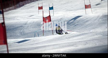 U18 weibliche Skirennläuferin beim Giant Slalom-Rennen am Mount Sunapee, NH, USA Stockfoto