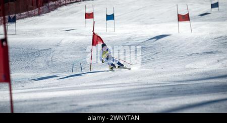 Airborne U18 weibliche Skirennläuferin, die beim Giant Slalom Rennen in Mount Sunapee, NH, USA ein Tor dreht Stockfoto