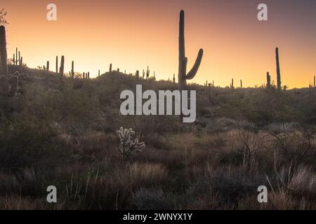 Ein Sonnenaufgang In Der Wüste Von Arizona Stockfoto