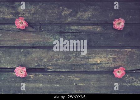 Knospen von rosafarbenen Rosen auf hölzernem Hintergrund. Vier schöne Rosen liegen auf dem Tisch in den Ecken. Kopierbereich. Freier Platz für Text Stockfoto