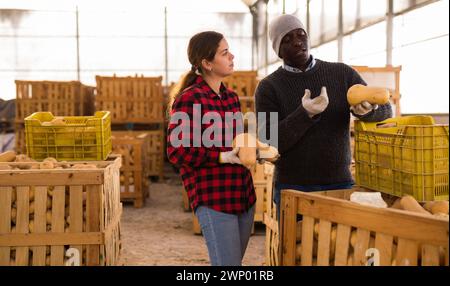Mann und Frau Bauern reden während des Stapels von Kürbissen Stockfoto