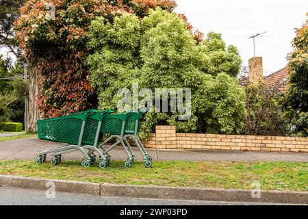 Verlassene Einkaufswagen liegen auf grünem Gras in der Nähe eines Vorstadthauses. Stockfoto