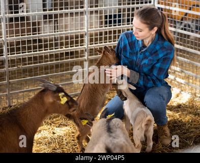 Bäuerin füttert und spielt mit Ziegenlingen Stockfoto