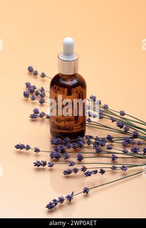 Tropfflasche mit ätherischem Lavendelöl, trockene Blumen auf beigefarbenem Tisch. Naturkräuter-Kosmetikprodukt. Gesichtspflege. Glasflakon von Stockfoto