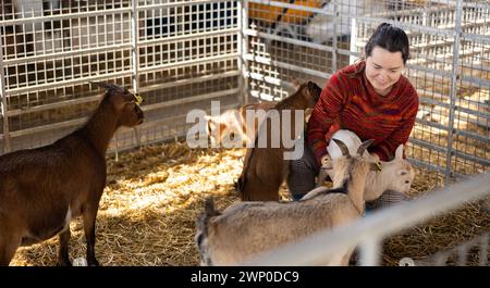 Bäuerin füttert und spielt mit Ziegenlingen Stockfoto