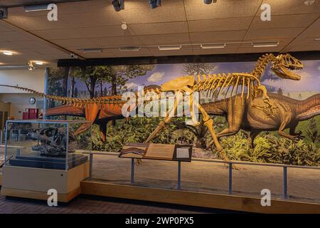 Editorial: JENSEN, UTAH, USA, 22. SEPTEMBER 2023 – Ausstellung eines fossilen allosaurus in seiner natürlichen Umgebung in der Steinbruchausstellungshalle Stockfoto