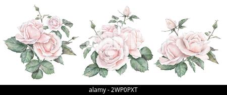 Set aus weißer Creme Rose, Sammlung Gartenblumen, Blätter. Clipart Aquarell Handmalerei Illustration auf isoliertem weißem Hintergrund. Element Stockfoto