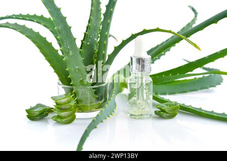 Frische Aloe Vera Blätter und Scheiben, kosmetisches Serum mit Aloe Vera Extrakt in Glasbehälter mit Pipette auf weißem Hintergrund. Naturkosmetik Concep Stockfoto