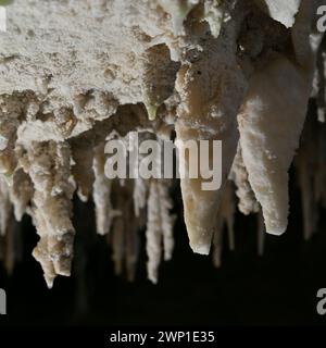 Lake Cave (WA) ist stark mit zerbrechlichen weißen Kalzithalmen, Tüchern, Stalaktiten und Stalagmiten verziert Stockfoto