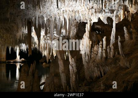 Lake Cave (WA) ist stark mit zerbrechlichen weißen Kalzithalmen, Tüchern, Stalaktiten und Stalagmiten verziert Stockfoto