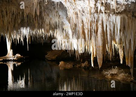 Lake Cave (WA) ist stark mit zerbrechlichen weißen Kalzithalmen, Tüchern, Stalaktiten und Stalagmiten verziert Stockfoto