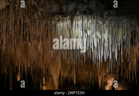 Lake Cave (WA) ist stark mit zerbrechlichen weißen Kalzithalmen, Tüchern, Stalaktiten und Stalagmiten verziert Stockfoto