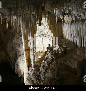 Lake Cave (WA) ist stark mit zerbrechlichen weißen Kalzithalmen, Tüchern, Stalaktiten und Stalagmiten verziert Stockfoto