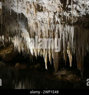 Lake Cave (WA) ist stark mit zerbrechlichen weißen Kalzithalmen, Tüchern, Stalaktiten und Stalagmiten verziert Stockfoto