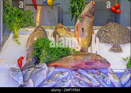 Frischer Fisch auf einem Fischmarkt in der Türkei. Stockfoto