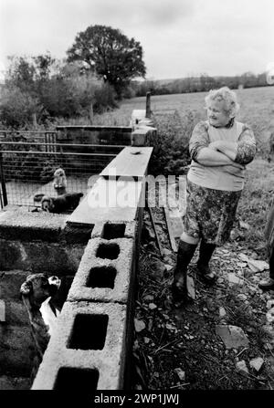 Welpenzucht Wales 1989. Ein Boxer und zwei andere Rassen im Hinterland mit dem Bauern. 1980er Jahre Carmarthen UK HOMER SYKES Stockfoto