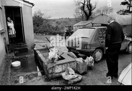 Welpenzucht Wales 1989. RSPCA-Inspektor Peter Anderson bittet um Erlaubnis, die Welpen zu überprüfen, die auf dieser walisischen Bergfarm gezüchtet werden. Zwei Westies Hunde auf dem Hof, die nicht gezüchtet wurden. HOMER SYKES AUS DEN 1980ER JAHREN Stockfoto