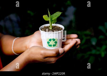 Die Frauen, die Recycling- und Kompostieranlagen im Abfallbecher behandeln Stockfoto