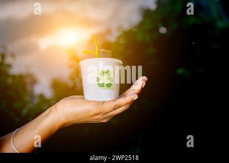 Die Frauen, die Recycling- und Kompostieranlagen im Abfallbecher behandeln Stockfoto