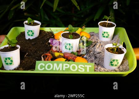 Kompostierter Boden recycelt Altpapierbecher und Altgemüse Stockfoto