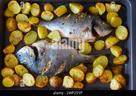 Dorado mit Kartoffel auf Backblech Stockfoto