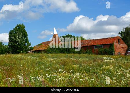 Im Frühsommer, Tudeley, Kent, England, liegt neben dem High Weald Walk ein langer, distince Fußweg Stockfoto