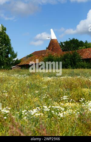 Im Frühsommer, Tudeley, Kent, England, liegt neben dem High Weald Walk ein langer, distince Fußweg Stockfoto